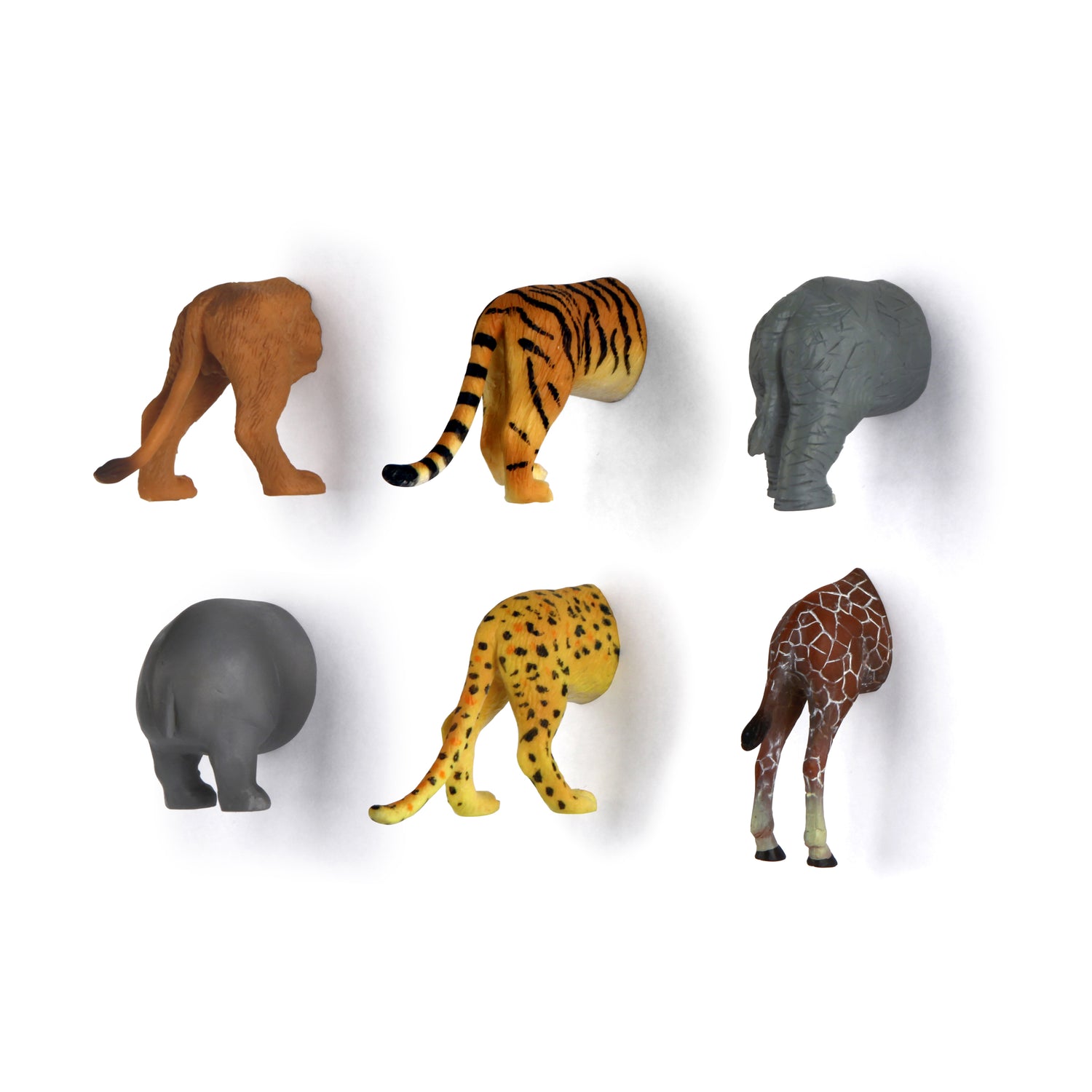 Safari dierenkontmagneten