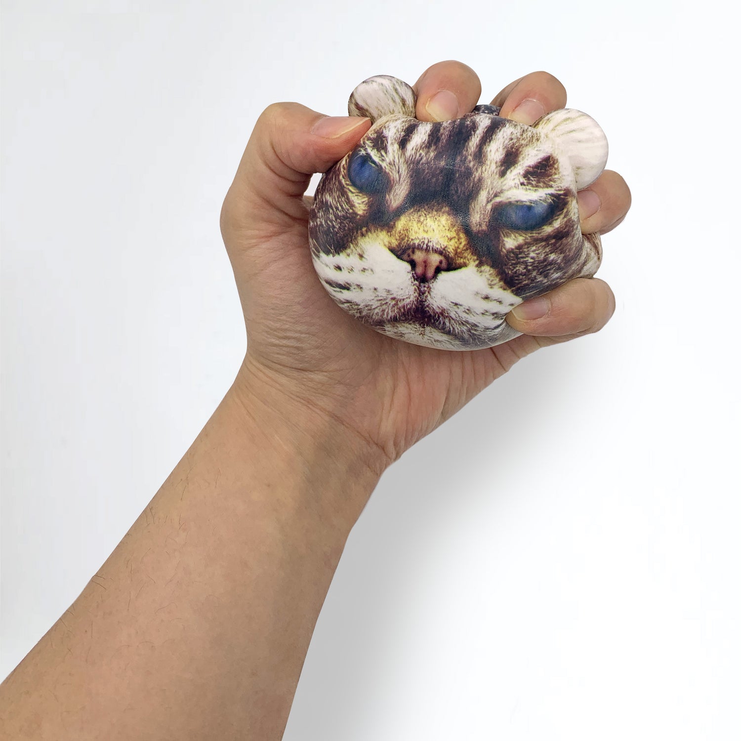 Feline Fine Stress Ball – Kikkerland Design Inc