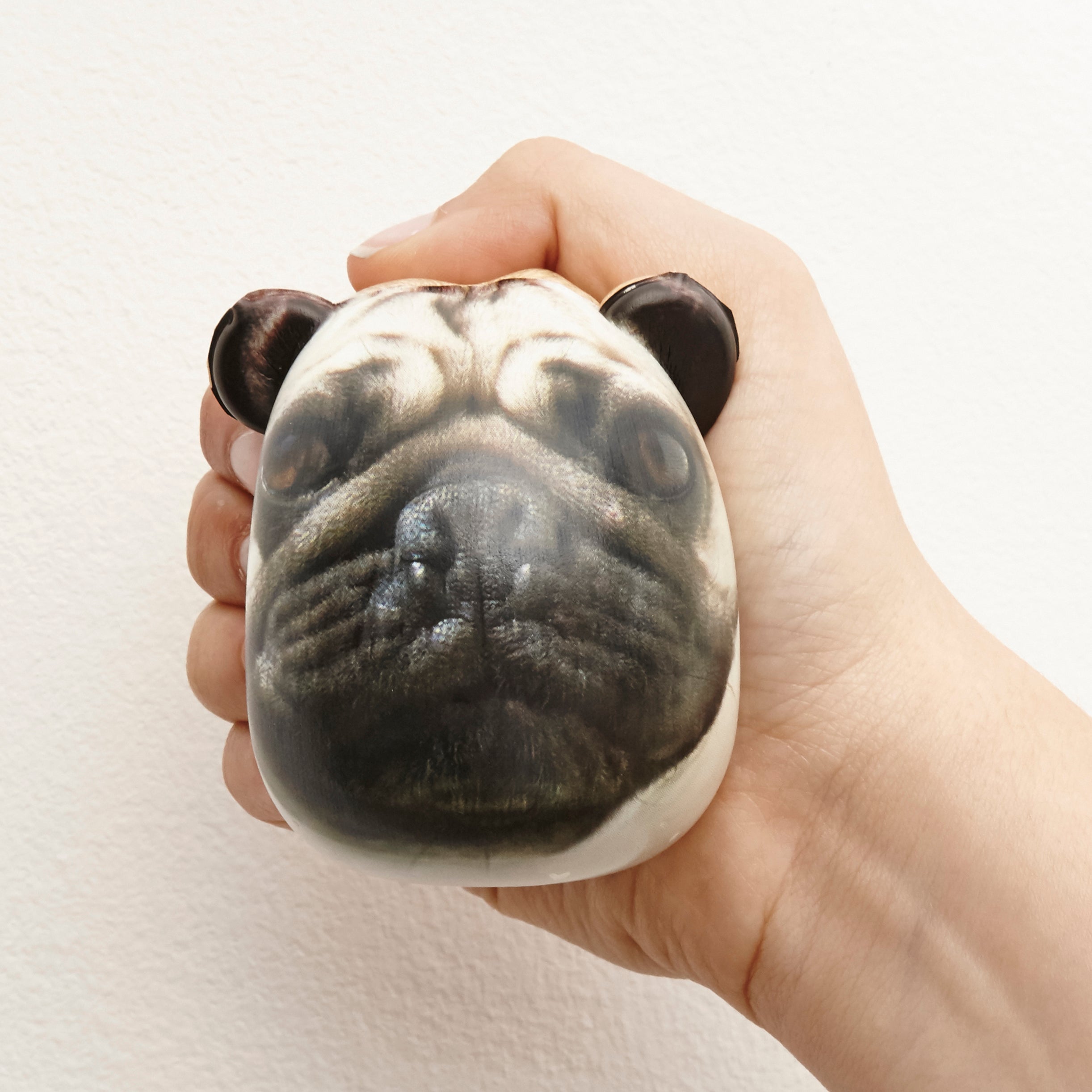 Pug 2024 stress ball