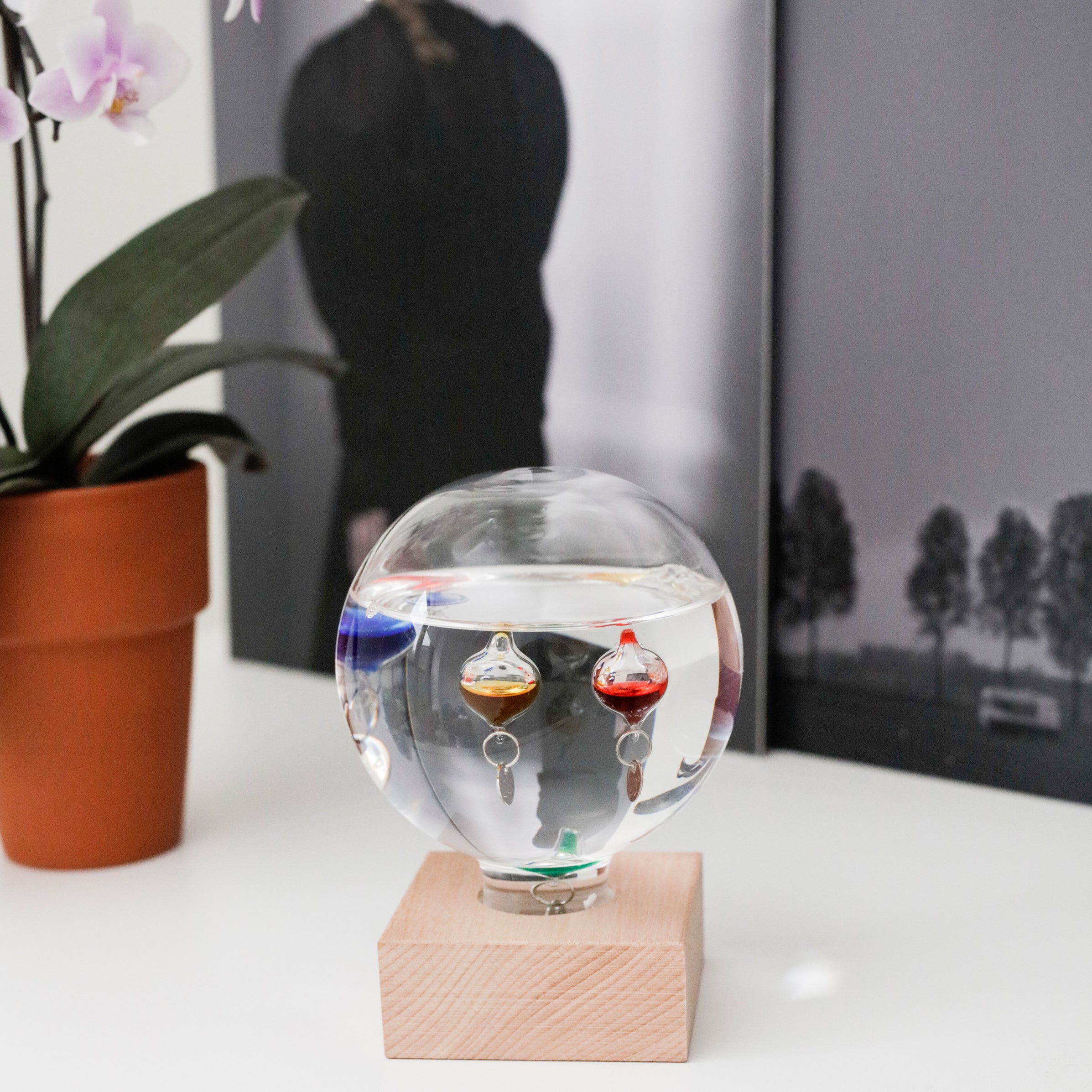 Galileo thermometer — Kikkerland Design Inc