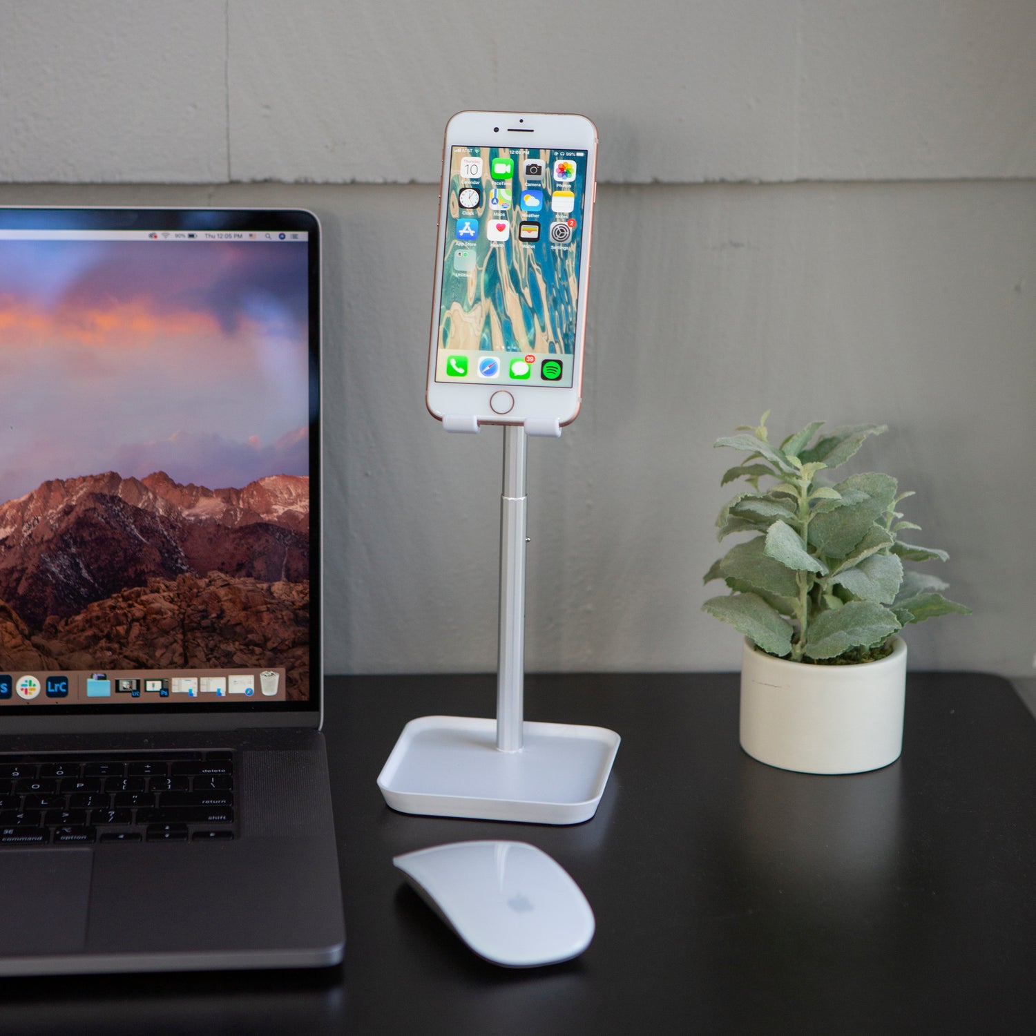 The Perfect Phone Stand in White