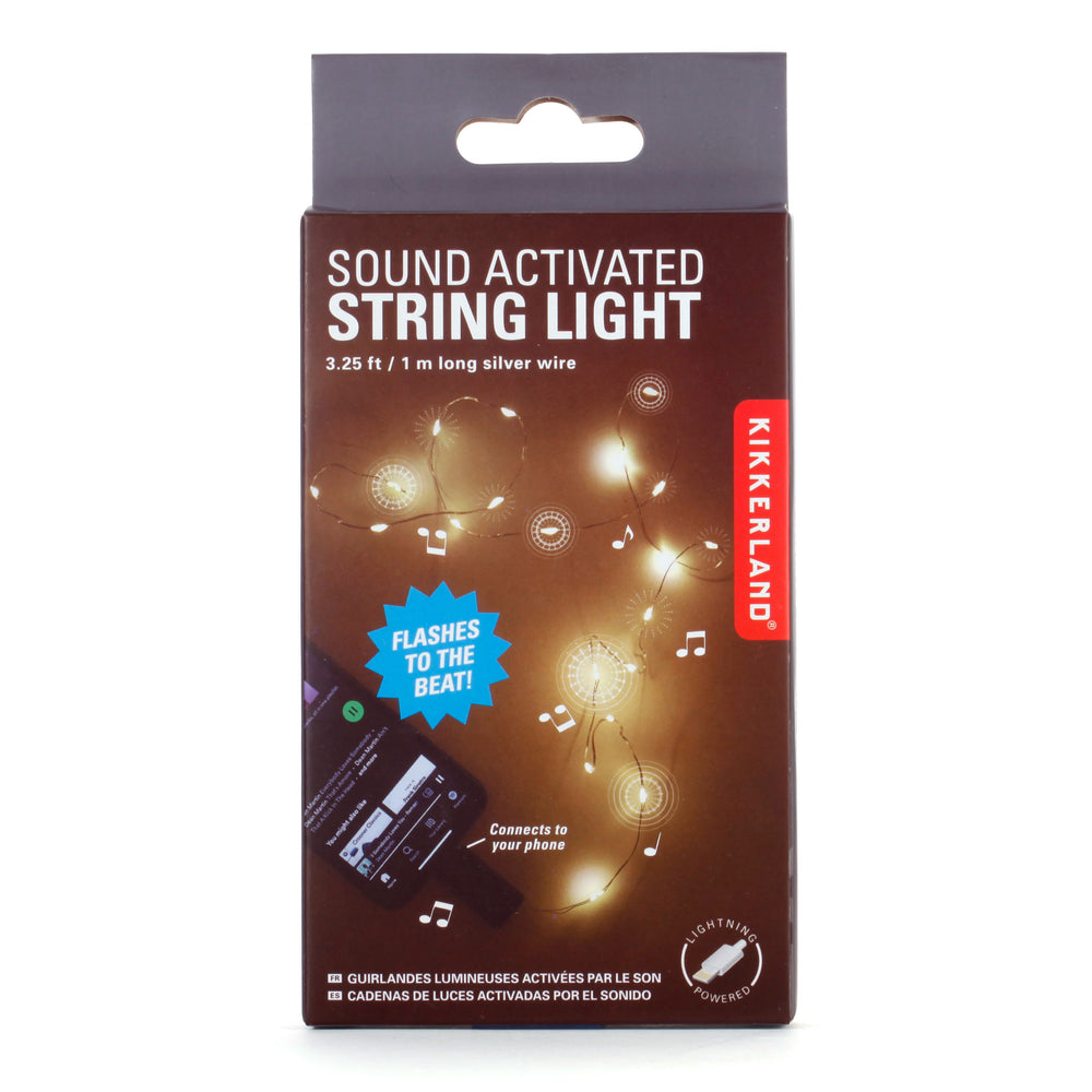 Sound Activated String LED Light, 3.25 FT for Iphones